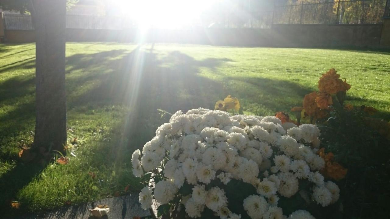 La Estibialla Campo  Buitenkant foto